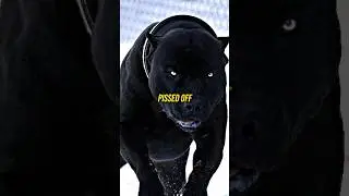 His Dog Almost Ate Him