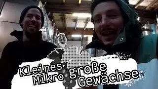 #asktoni - Kleines Mikro, große Gewächse - Nico Espenschied // Weingut Espenhof