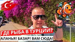 ЧТО за РЫБНЫЙ базар в Аланье! ТУРЕЦКАЯ ЖИЗНЬ сегодня!
