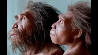 O Nascimento da Mente - Humanos, quem Somos Nós?