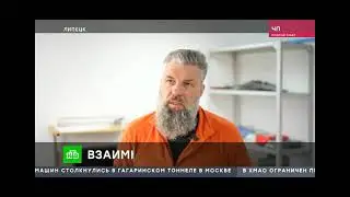 собачья война