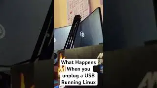 What happens when you unplug a USB from which Linux is running 