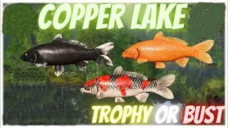 Russian Fishing 4 Copper Lake Trophy Or Bust Ep 8