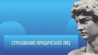 Страхование юридических лиц