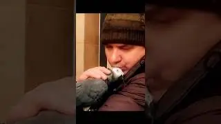 ✅ ВСТРЕЧА ПОСЛЕ ДОЛГОЙ РАЗЛУКИ 🐦 ЖАКО ПЕТРУНЯ 🔥 #shorts  #parrot #funny_video