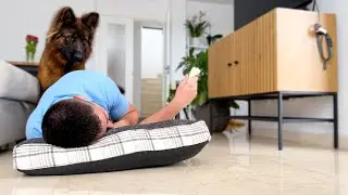 Sleeping in a dog bed with food in front of a German Shepherd Jessie