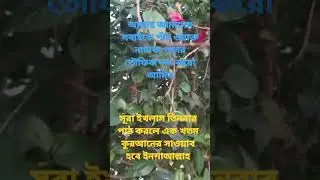 সুরা ইখলাস