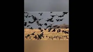 Сергей Ульянов Война.