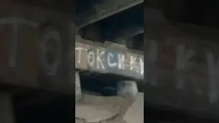 А кто такие токсики!? 