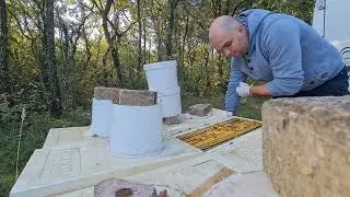 Eu inca lucrez la albine până   la 1 Decembrie!