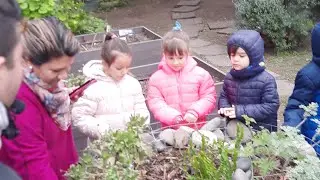 #дача  #огород  #развлечения #сад  #природа #для всех  #аргентина #argentina