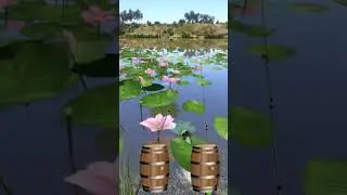 #срочныеновости