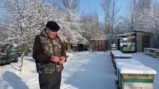 Зима прийшла