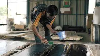 Factory of petrified wood products / Relictium Indonesia