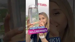 МОРСКИЕ РАЧКИ С ВАЙЛДБЕРИЗ ЧАСТЬ 2