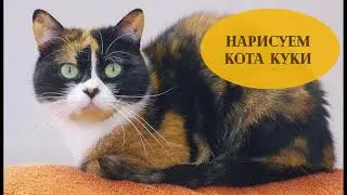 Рисуем кота Куки из Сливки Шоу. Часть 1. How to draw a cat from SlivkiShow