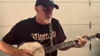 Abracadabra - Lady Gaga - Banjo Cover