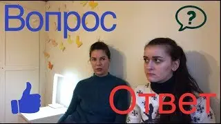 ДАНИЯ РАБОТА НА СВИНОФЕРМЕ Вопрос-Ответ. Отвечаем на ваши вопросы.