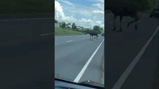 ОСТОРОЖНО!