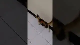 sedih di kunci in pintu #shorts