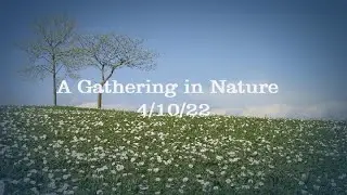 Alba Weinman - A Gathering in Nature on April 10th, 2022