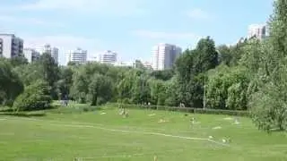 Вольт на тренировке, 11 мес