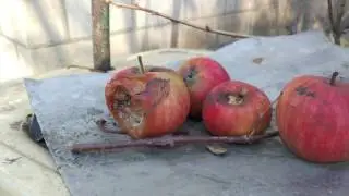 Xiaomi 4к видео mi4c