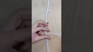 Trending Now 24