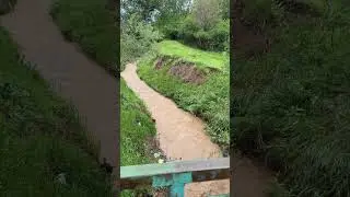 ПЕРВОМАЕВКА. ЯР НА ВТОРОЙ УЛИЦЕ. ЮЖ. КАЗАХСТАН. 5.05. 24. г.