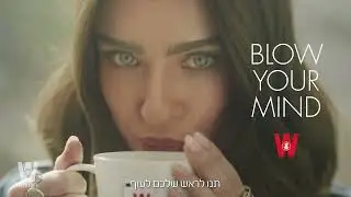 חווית הצ'אי של ויסוצקי - עכשיו בטעמים חדשים!