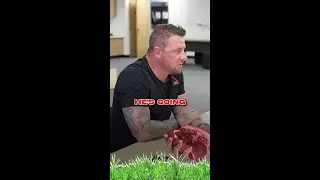 Ever seen a coyote stop hunting because it gets free meals?