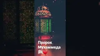 Пророк Мухаммеда ﷺ Маълумот да борай Паёмбари Ислом  Мухаммеда ﷺ