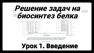 Урок 1. решение задач на биосинтез белка