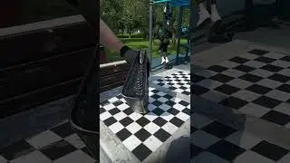 Барсетка из кожи крокодила черная с одним отделением
