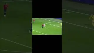 Холанд на чм в Катаре 