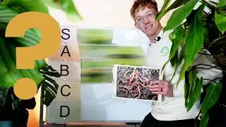 Houseplant Pests Tier list!