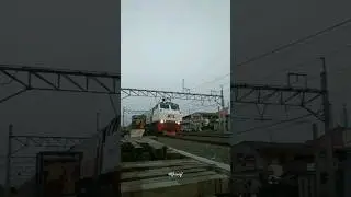 CC 203 98 05 CPN KA Bogowonto #keretaapi #train #daop1 #bekasi