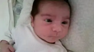 Видео0053