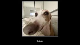 Goblar by CreatorCreepy (USA! USA! USA!) (Legendary Daily) 100% WITH COIN! Geometry Dash 2.2