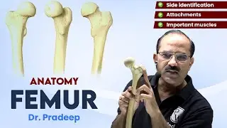 Femur | Anatomy | Hard Parts Made Easy with Dr. Pradeep Pawar | PW MedEd