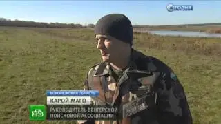 Под Воронежем найдены обломки самолета времен ВОВ