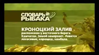 Как выбирать место ловли