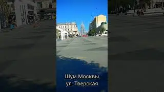 Москва центр,  выборы мэра