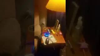 Alexa Turns off Donald Trump
