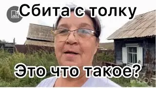 Я в недоумении от уборки моркови/ Кричала на столе у массажиста#морковь #уборка #массаж