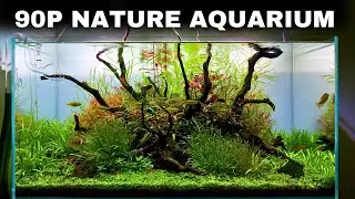 The ScaperLine 90: EPIC Step By Step 3ft Aquascape Tutorial