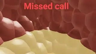 Missed call [Hard vore audio] (original)