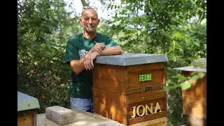 Interview with a German beekeeper | Beekeeping in Germany