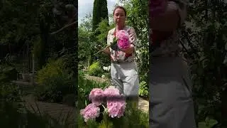 К этой красоте и я руки приложил)