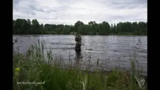 Switch rod 